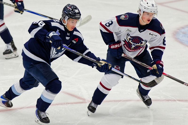Combattons le cancer : le Phoenix de Sherbrooke invite ses partisans à une soirée spéciale
